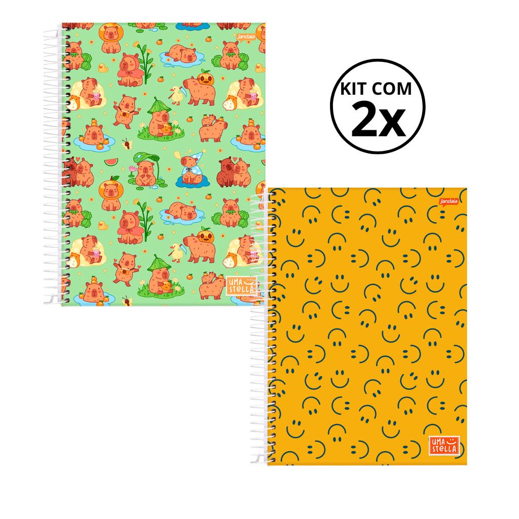 Kit 02 Cadernos Universitário 20 Matérias 320 Folhas Stella Jandaia — Material Escolar