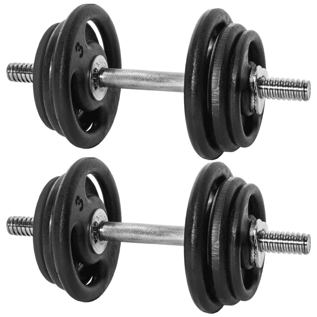 Kit Par De Halteres Barra Rosca 40cm 24Kg De Anilhas De Academia — Esporte e Lazer