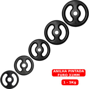 Anilha Pintada 1 a 5kg Ferro Fundido Peso de Academia Musculação
