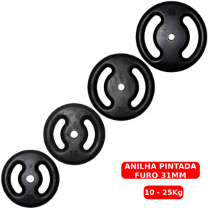 Anilha Pintada 10 a 25kg Ferro Fundido Peso de Academia Musculação