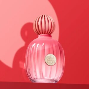 Banderas The Icon Splendid Edp Perfume Feminino 50ml