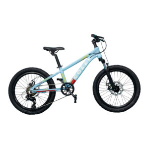 Bicicleta Infantil Colli Dublin Sport 7v Aro 20 Freio Disco