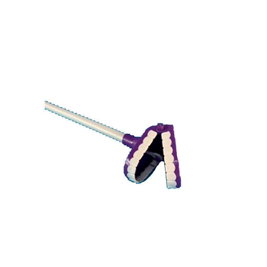 Brinquedo Boca Maluca Roxo 1 unidade Rizzo