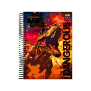 Caderno 01 Matéria Universitário 80 Folhas Stone Jandaia