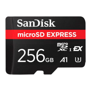 Cartão de Memória Sandisk 256gb Microsd Express Preto