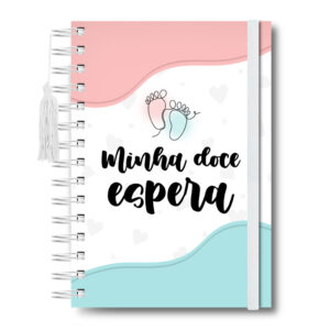 Guia da Anotaçõs Gestante Diário Minha Gestação Caderno Caderneta