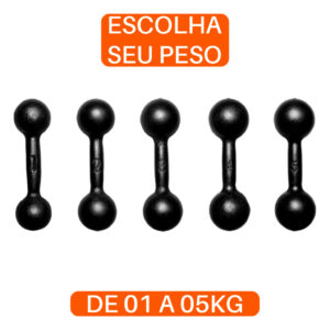 Halter Bola Pintado 1 a 5kg Treino Musculação Peso Livre Funcional