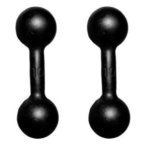 Halter Bola Pintado 10kg Treino Musculação Peso Livre Funcional