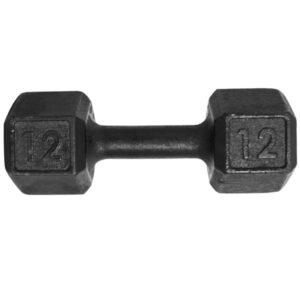 Halter Dumbbell Sextavado Pintado 12Kg Peso de Academia Para Treino
