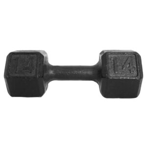 Halter Dumbbell Sextavado Pintado 14Kg Peso de Academia Para Treino