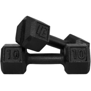 Halter Dumbell 10kg Sextavado Pintado Peso De Academia Para Treino