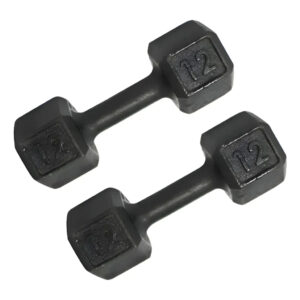 Halter Dumbell 12kg Sextavado Pintado Peso De Academia Para Treino