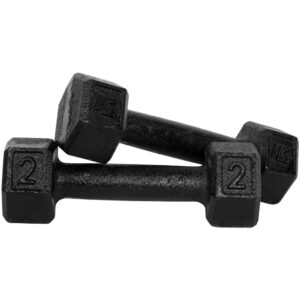 Halter Dumbell 2kg Sextavado Pintado Peso De Academia Para Treino