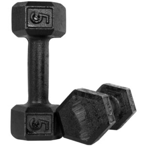 Halter Dumbell 5kg Sextavado Pintado Peso De Academia Para Treino