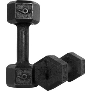 Halter Dumbell 6kg Sextavado Pintado Peso De Academia Para Treino