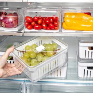 Kit 2pc Organizador De Geladeira 5L Com Tampa e Cesto Escorredor