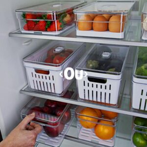 Kit 3 Organizadores de Geladeira Clear Fresh Porta Ovos, Frutas e