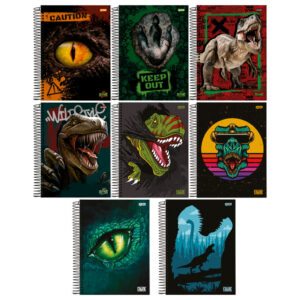 Kit 4 Cadernos Universitários 10 Matérias 160 Folhas Capa Dura