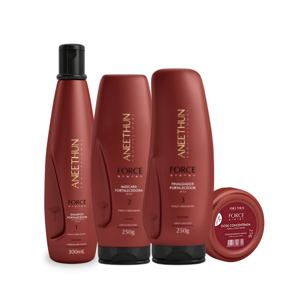 Kit Aneethun Force System Shampoo 300ml Máscara 250g Finalizador 250g