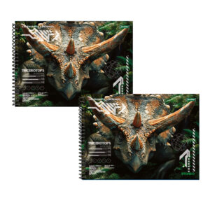 Kit com 2 Cadernos De Desenho 80 Folhas Stone Jandaia
