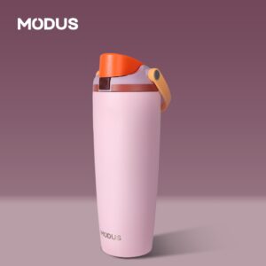 Modus Garrafa Térmica 900ml Inox com Canudo 2 em 1, Garrafa de Água