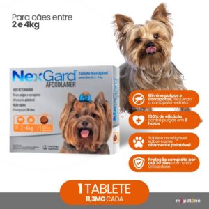 NexGard 11,3 mg para Cães de 2 a 4 Kg 1 Tablete