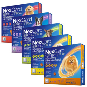 NexGard Spectra para Cães de 2 a 60 Kg 1 Tablete