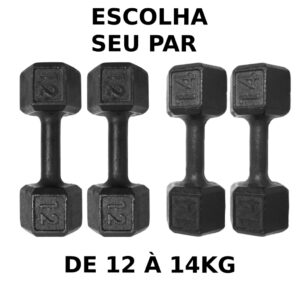 Par Halteres Pintado 12kg á 14kg Peso de Academia Dumbbell Sextavado