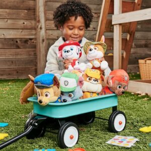 Paw Patrol Mighty Pups Pelúcia Estrela 6 9 Personagens Clássicos