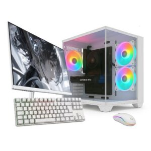 PC Gamer Skill Apex Ryzen 5 5500 RX 580 16GB SSD 256GB M24″