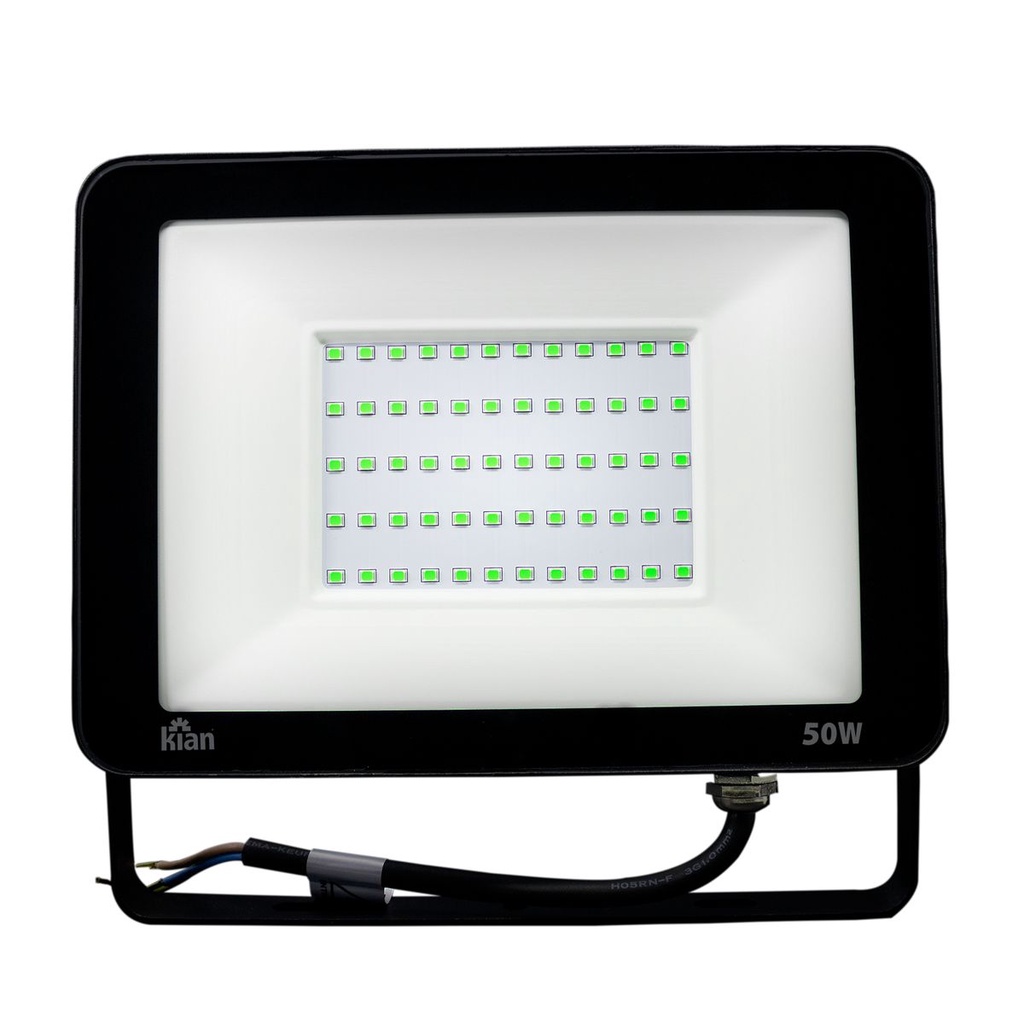 Projetor Holofote Led 50W Luz Verde Kian