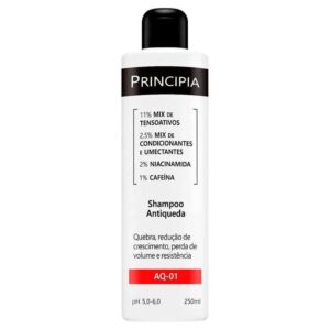 Shampoo Antiqueda Principia 250ml