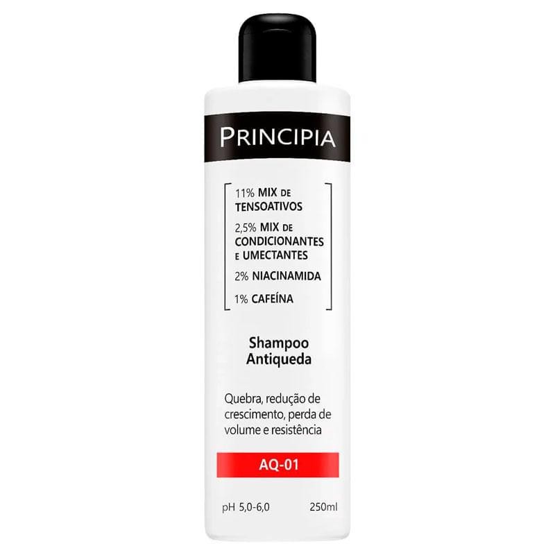 Shampoo Antiqueda Principia 250ml
