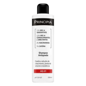Shampoo Principia Antiqueda AQ 01 250ml