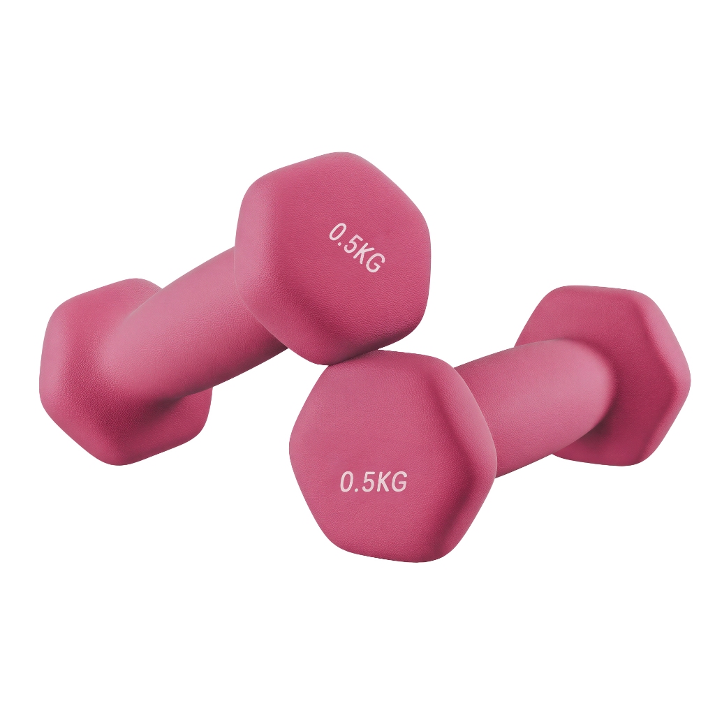 Songmics Par de Pesos Livres, Halteres Hexagonais com Revestimento de — Fitness e Musculação