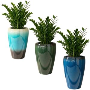 Vaso De Plantas Moderno Resina Grande Vietnamita Para Decoração