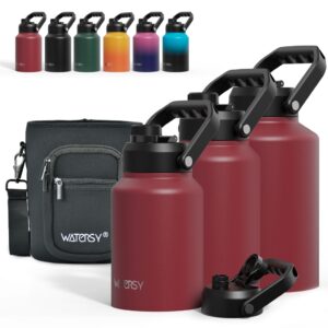 Watersy Garrafa Térmica De Aço Inoxidável Com Isolamento A Vácuo De — Cozinha e Utensílios